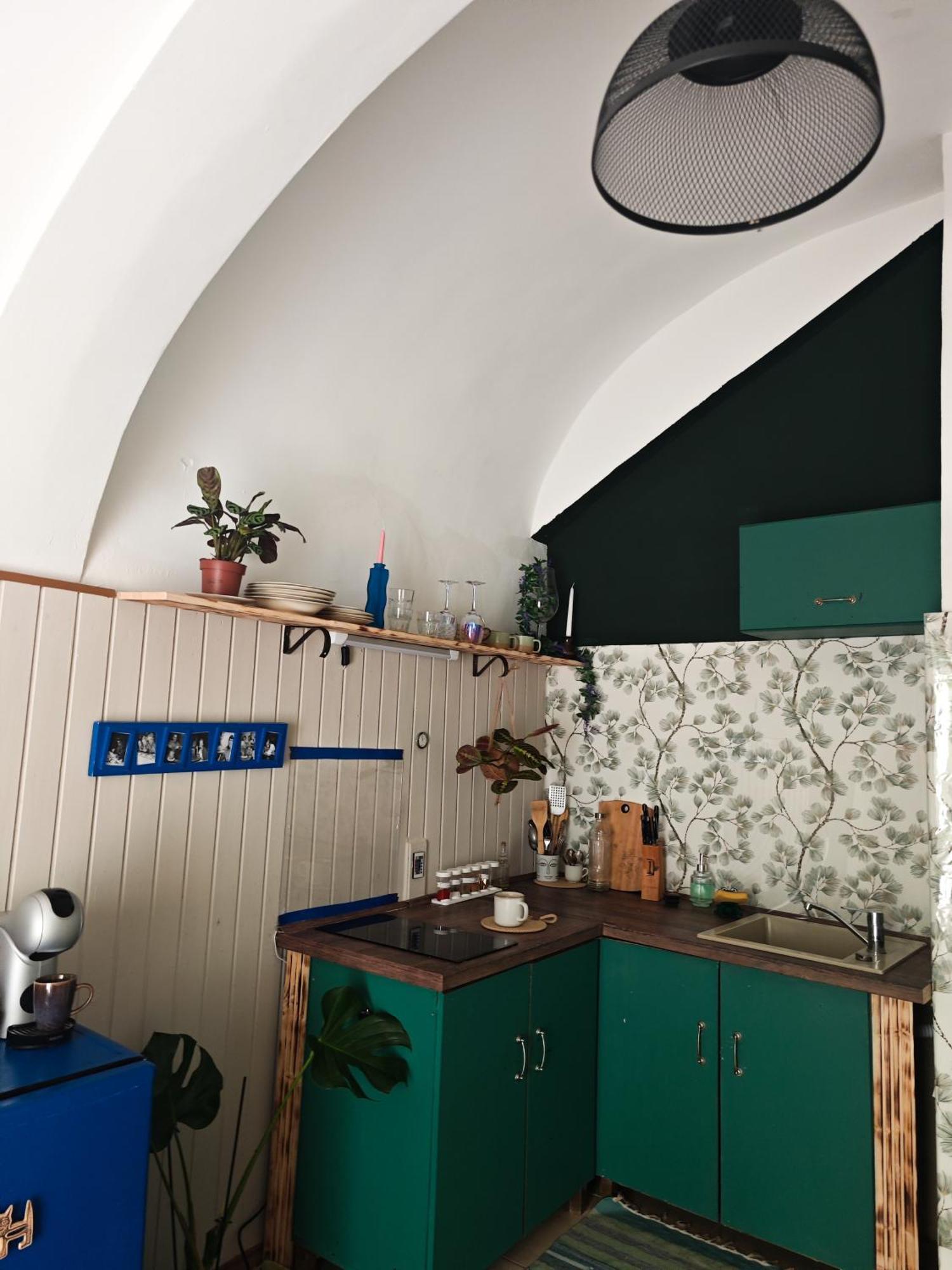 Vintage Room With Garden View Bratislava Exterior foto