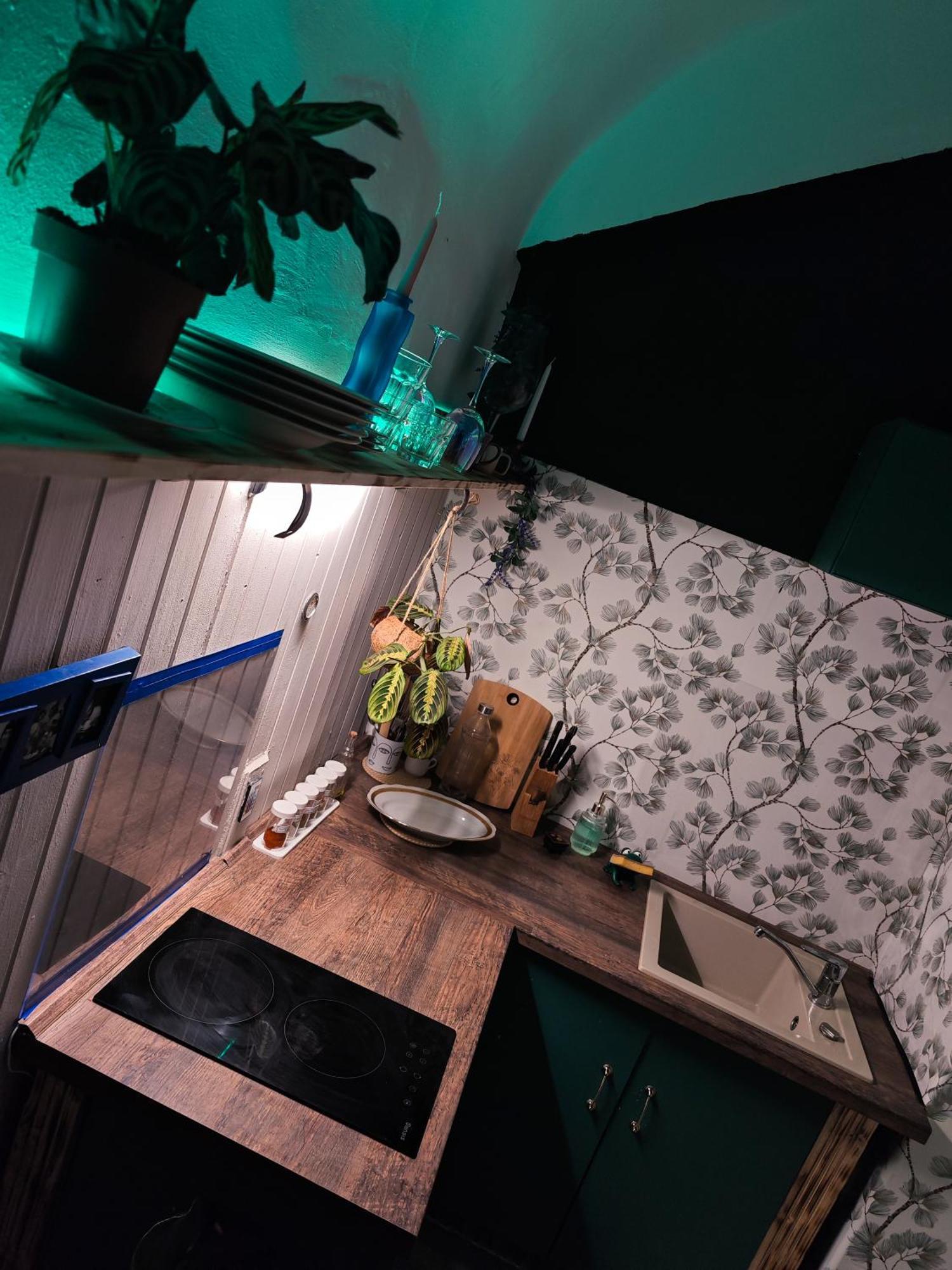 Vintage Room With Garden View Bratislava Exterior foto