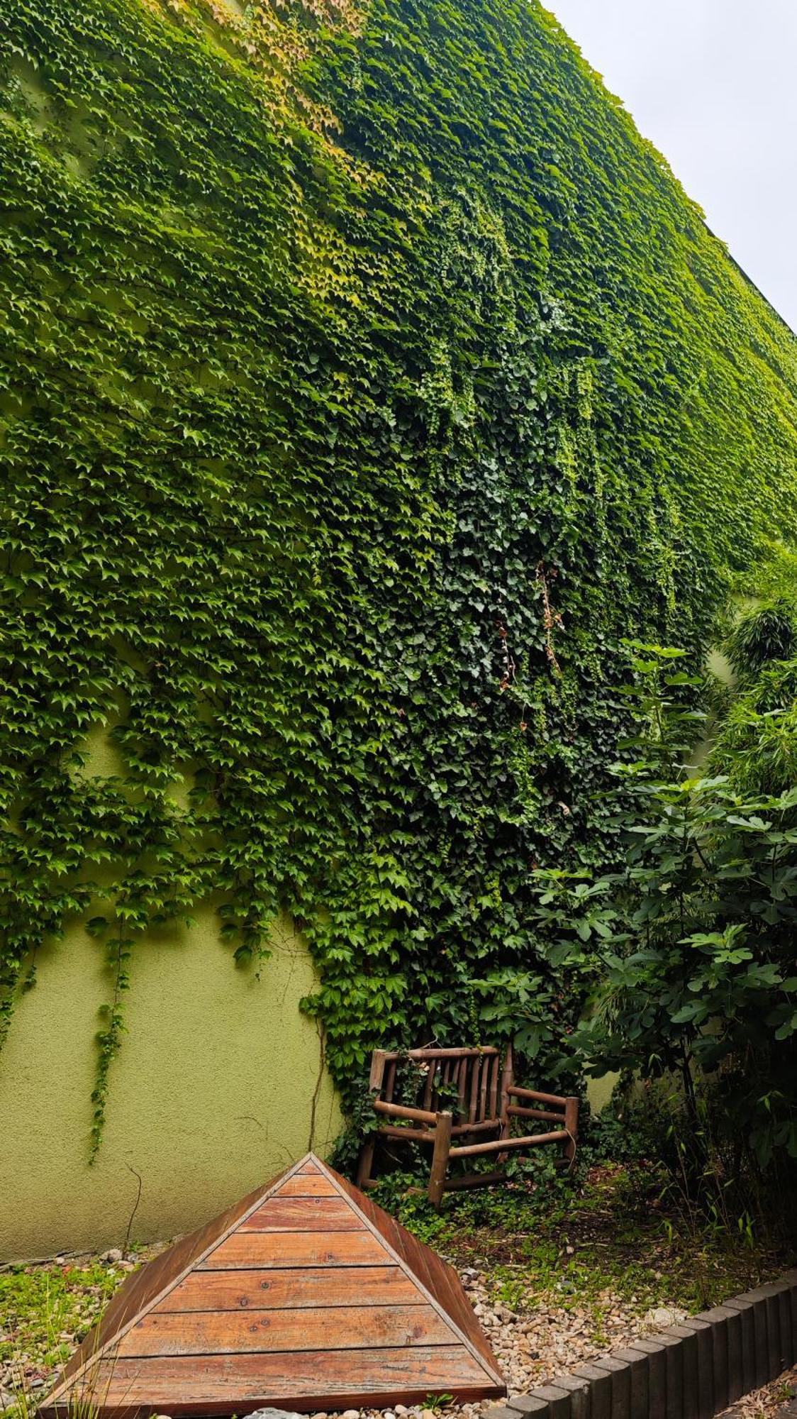 Vintage Room With Garden View Bratislava Exterior foto